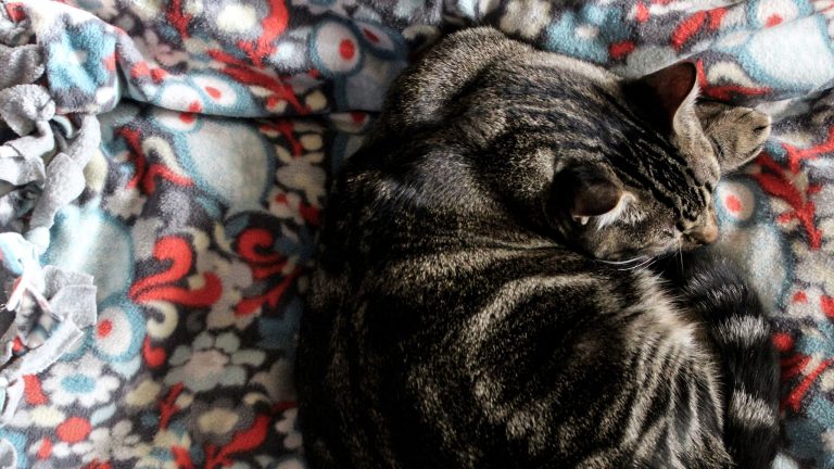 Raccogliersi in sé stessi non è una fuga dal mondo